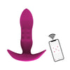 APP Vibrators4