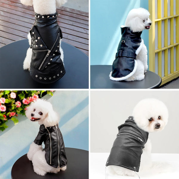 Cool Dog Leather Jacket Coat Warm Winter Pet Clothing Outfit French Bulldog Clothes Coats for Small Medium Dogs