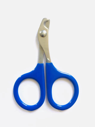Buy blue Professional Nail Scissors