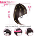 Brazilian Human Hair Blunt Bangs Clip in Human Hair Extension Non-Remy Clip on Natural Fringe Hair Bangs Neat Bang Hairpieces