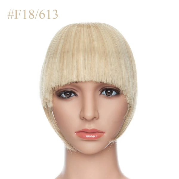 BENEHAIR Fake Bangs Synthetic Blunt Bang Clip in Hair Extension Women Blunts Fringe Hair Black Brown Bangs 2 Clips In