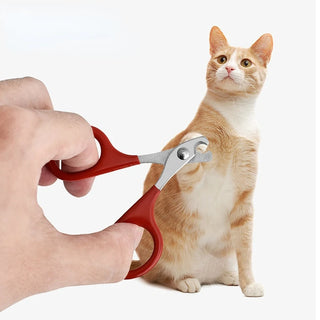 Professional Nail Scissors