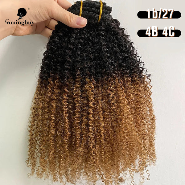 Afro Kinky Curly Hair Clip in Human Hair Extensions 4B 4C 100% Human Natural Hair Clip Ins Brazilian Remy Hair Comingbuy