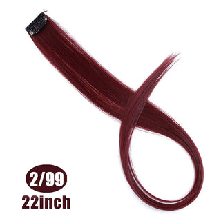 Buy 2i99 22 Inch Synthetic Colored Highlight Hair Extensions