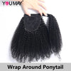 Wrap Ponytail