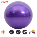 45-95cm Anti-Burst Yoga Ball Thickened Exercise Ball for Pilates Balance Stability Workout Pregnancy Birthing Physical Therapy