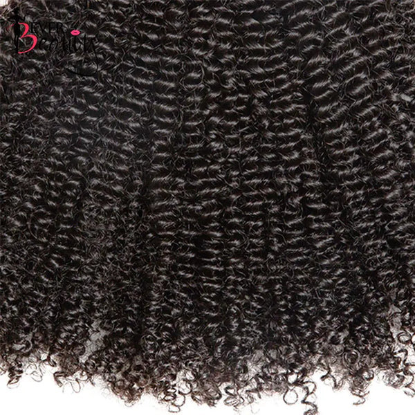 3C 4A Afro Kinky Curly Clip in Human Hair Extensions Brazilian Remy Hair 100% Human Natural Clip Ins Hair Bundle Ever Beauty