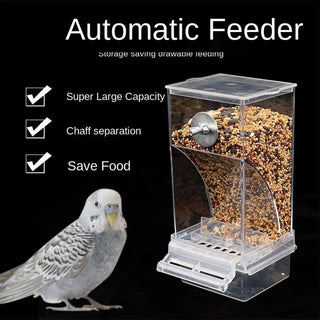 Bird Cage Feeder Cup Bowls Automatic Parrot Seed Feeders Hanging Food Dispenser Transparent Container for Canary Small Cockatiel