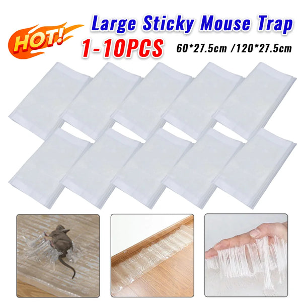 Strong Adhesive Sticky Trap