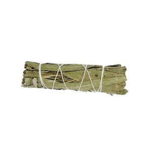 Eucalyptus Smudging Bundle 3"- 4" Long