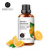 100ML Essential Oils - Webster.direct