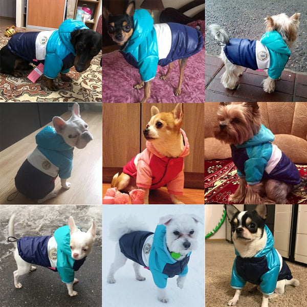 Winter Pet Clothes for Dogs Waterproof Hooded Dog Coat